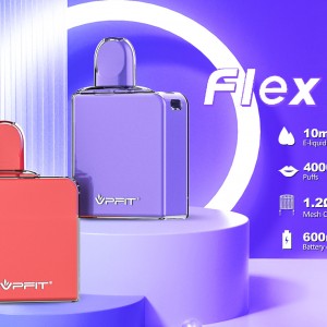 Brand Vape Manufacturer from China VPFIT FLex Box 10ml Disposable Vape Pod Device
